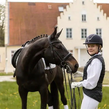Boutiquehotel Gut Tribbevitz Auf Ruegen Neuenkirchen auf Rugen