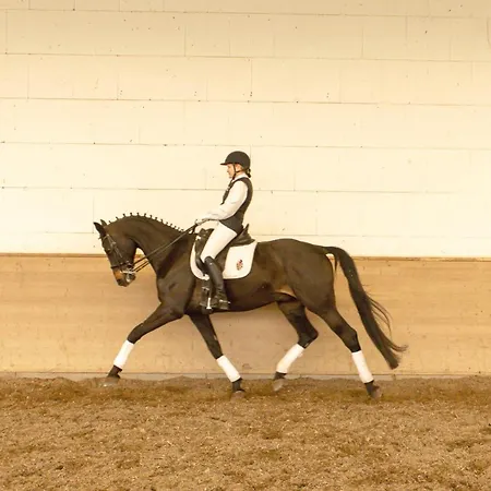 Boutiquehotel Gut Tribbevitz Auf Ruegen מלון 4*